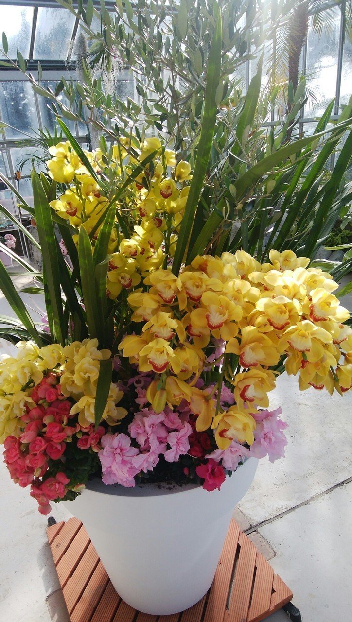 綺麗なお花 和子 22 Note 綺麗なお花 和子 22 Note
