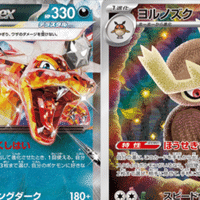 ナンジャモハラバリータケルライコexの取り扱い説明書｜ぺんだこ