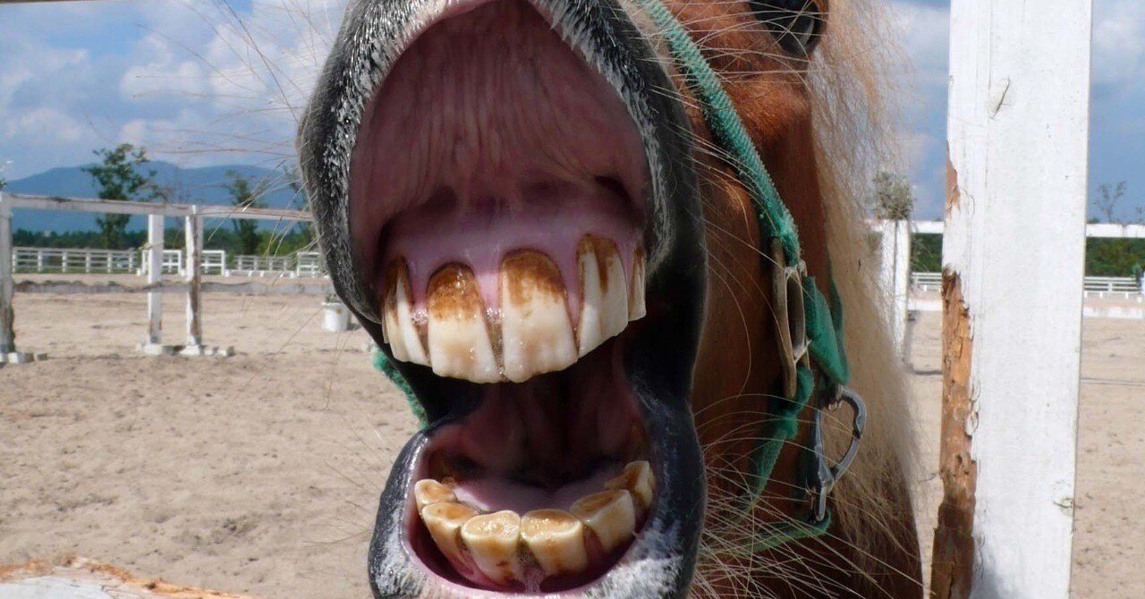 フリー句18 歯磨きを忘れて気持ち悪いので 食事の直前だけど磨いておく でぃーぷ パーポー Note