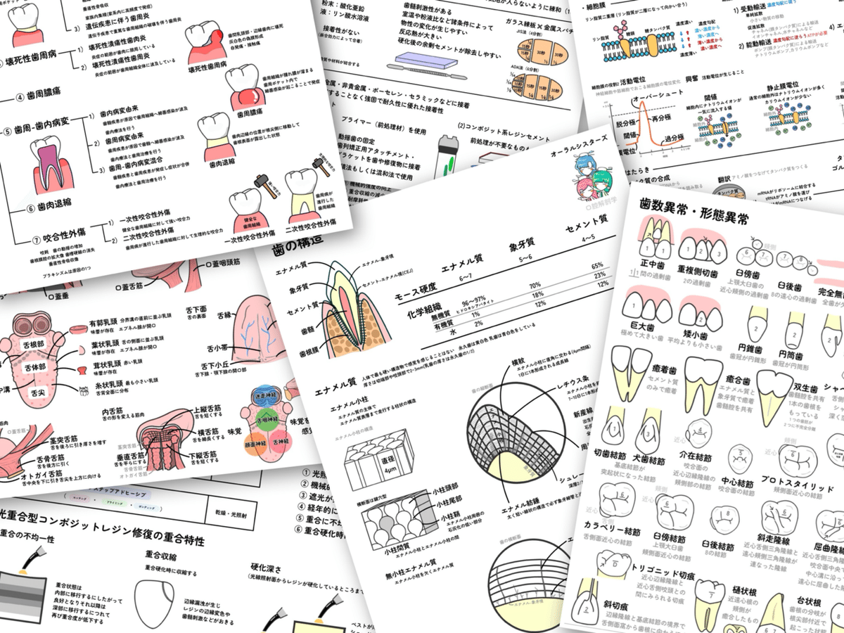 📎まとめ【窩洞・ブラックの分類】PDF📄 歯科衛生士国家試験｜オーラル