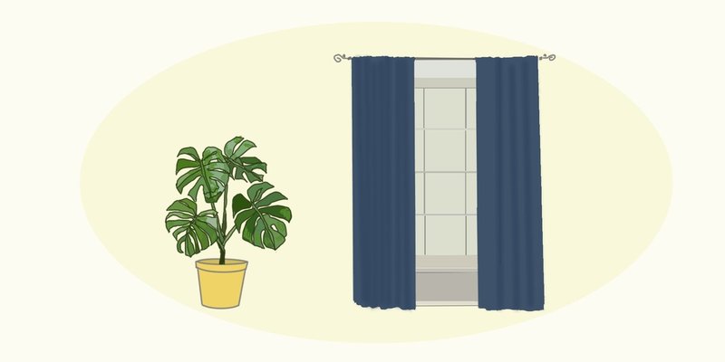 カーテンと観葉植物