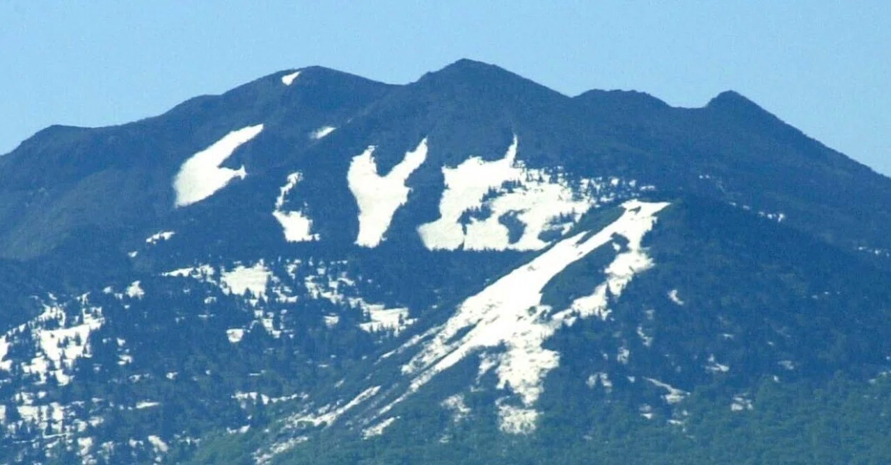 真作】和紙工芸雪解けの山径静謐な森景色残雪の山と曲がり道の詩情B36