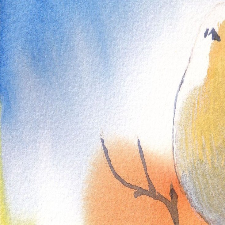 シマエナガの日 水彩画とパステル画｜ちろ