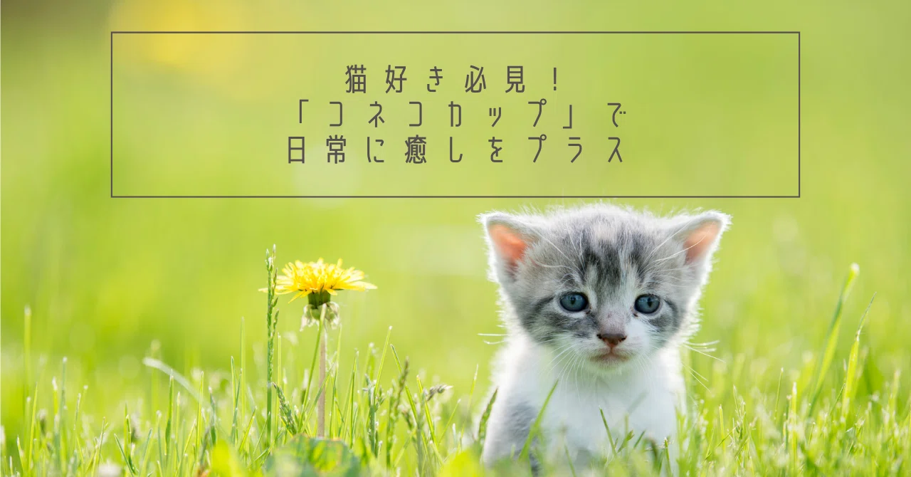 猫好き必見！「コネコカップ」で日常に癒しをプラス｜まか｜札幌で新 