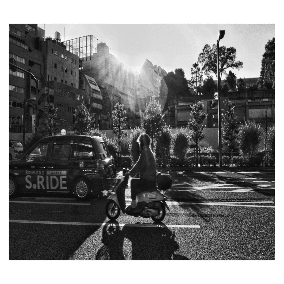 【Chimさん専用】マスター写真集 BLACK & WHITE Chimpanzee Black and White Photography Wall Art: Prints, Paintings