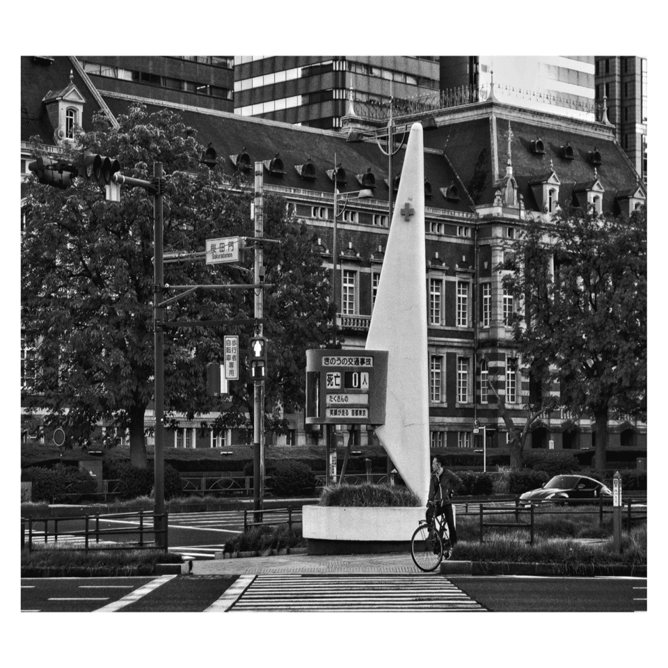 【Chimさん専用】マスター写真集 BLACK & WHITE Chimpanzee Experiment by Bettmann