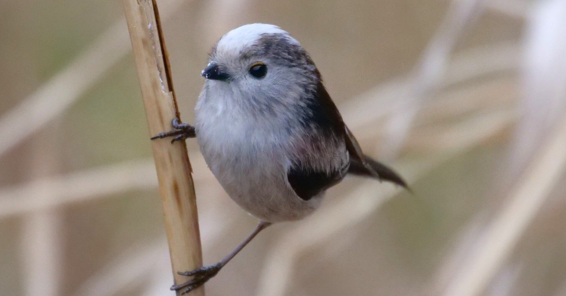 5f4200d944dd317b60766335e2030f