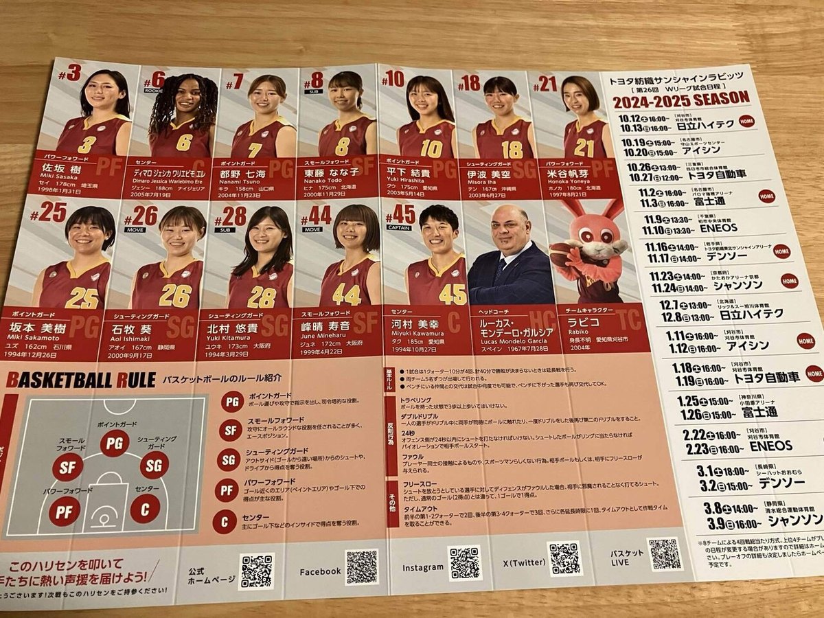 ヤクルトレディース盗撮 