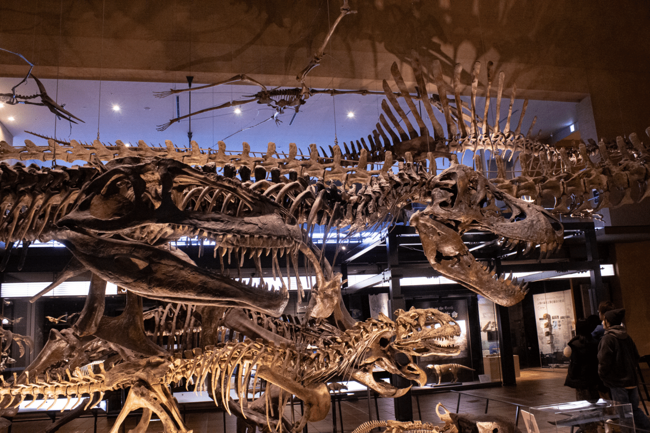 picture_pc_e8b4ea716e1c47e191c