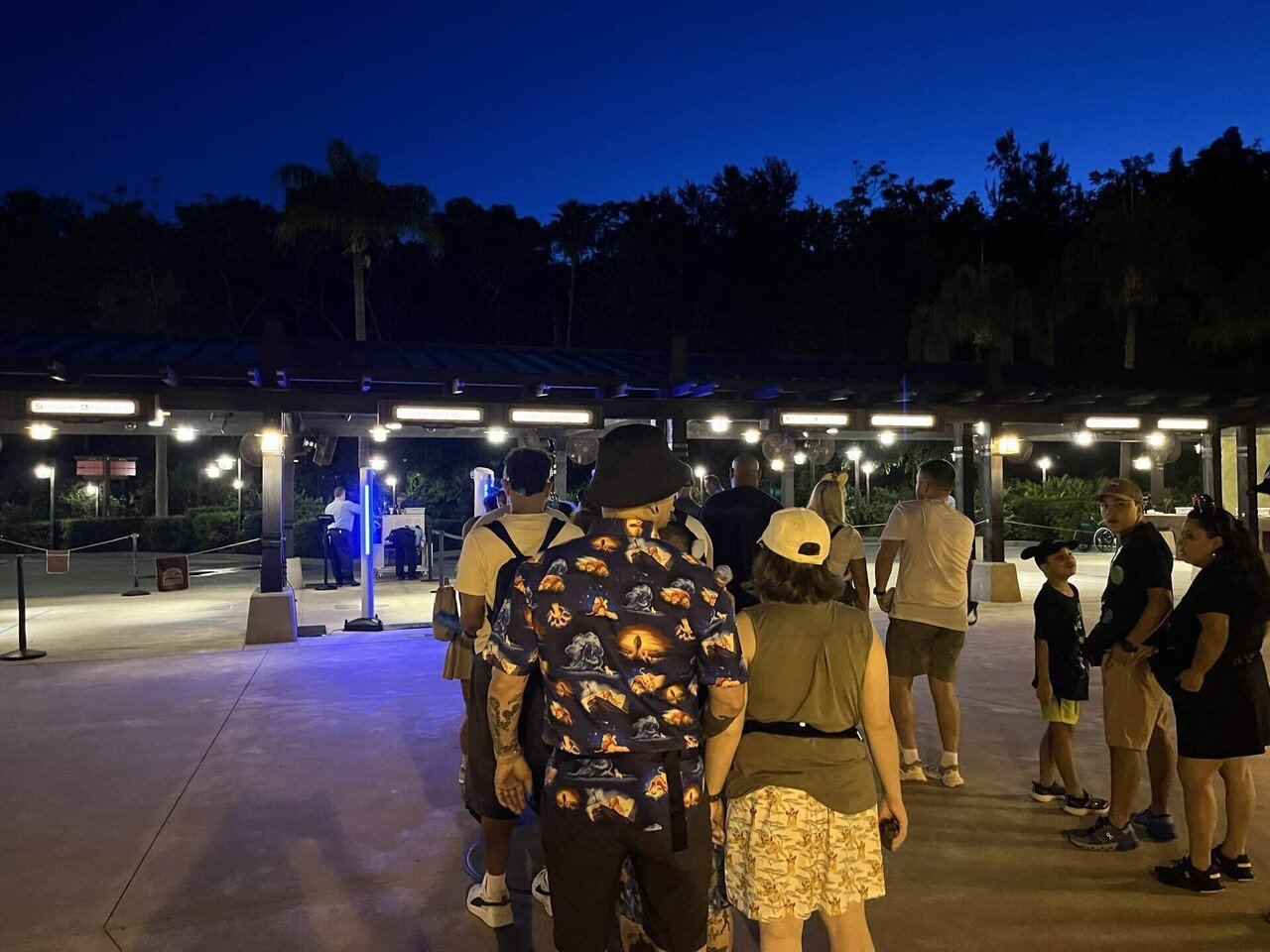 アメリカ旅行】ひとりディズニー：アニマルキングダムが期待を超えてき