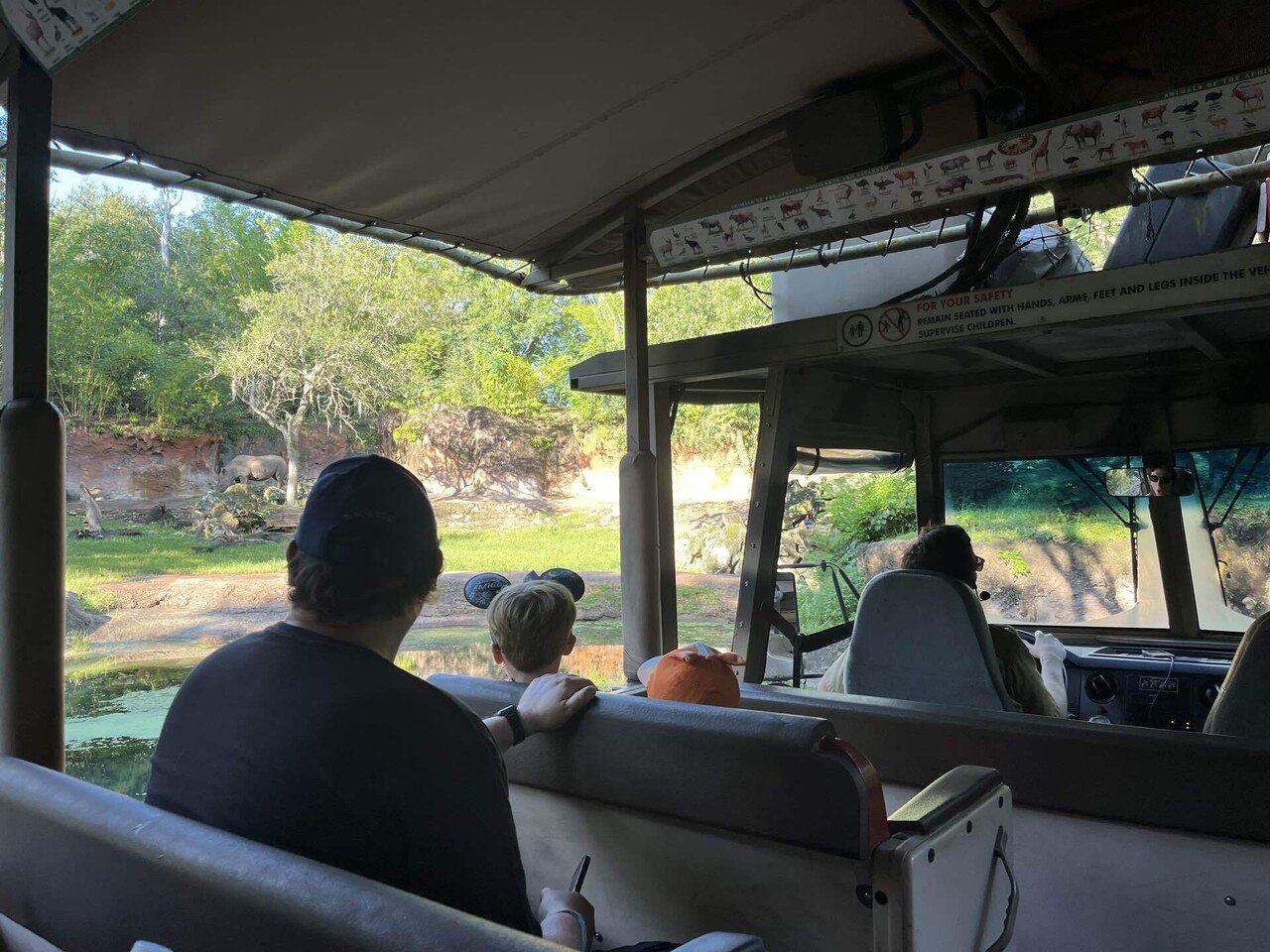 アメリカ旅行】ひとりディズニー：アニマルキングダムが期待を超えてき