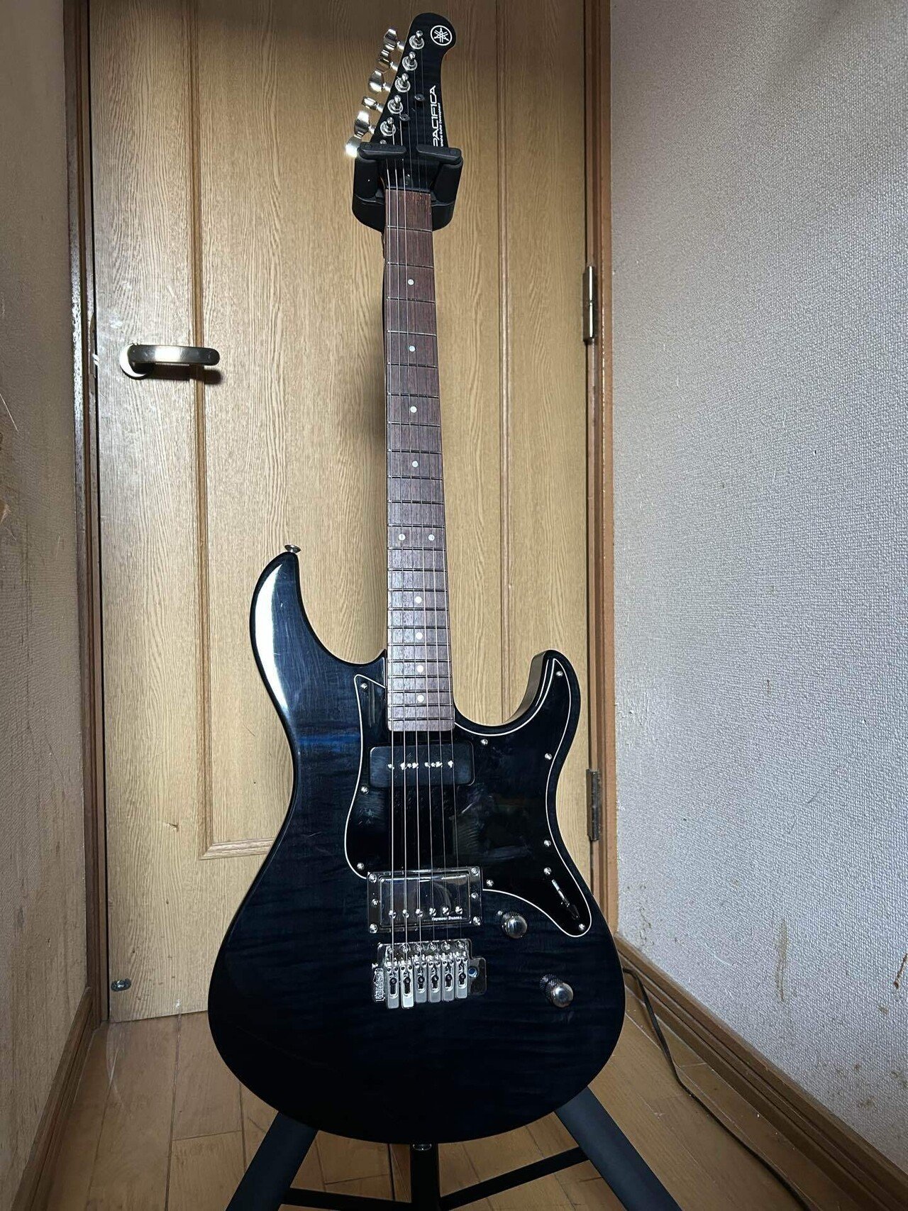 ギターを買ったよ|シャチ ギターを買ったよ|シャチ