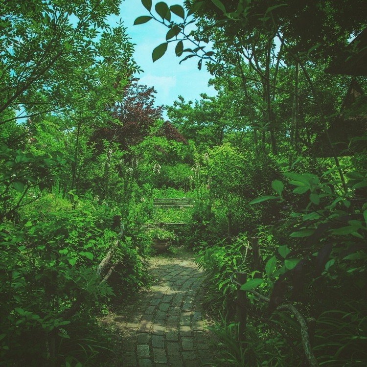 写真作品第一号です。花フェスタ記念公園のターシャの庭です。#photoretouch #art #cooljapan #landscape #garden #nature #花フェスタ記念公園 #ターシャの庭