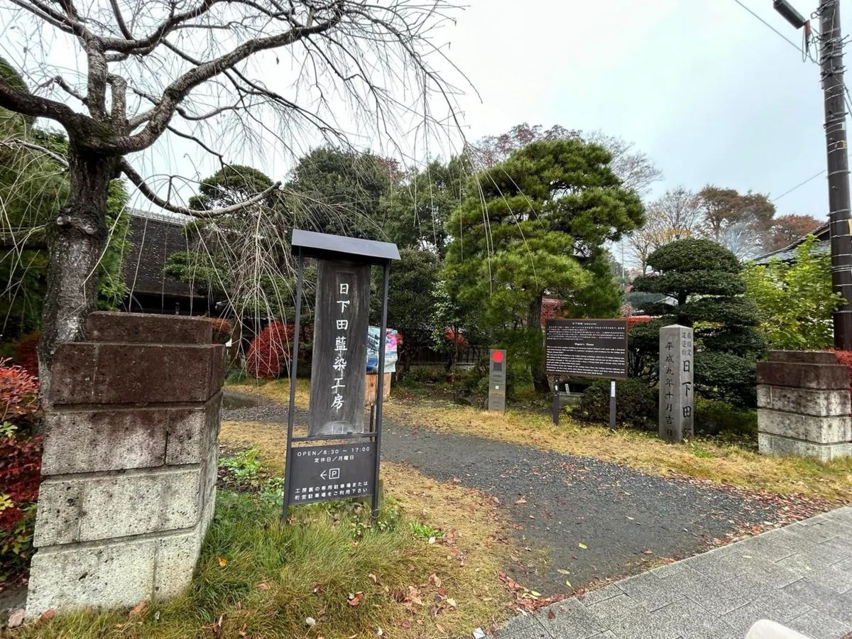 61【日本2024 Day 16：11月27日(水）日下田藍染工房＠益子町】 ｜堀井紀子