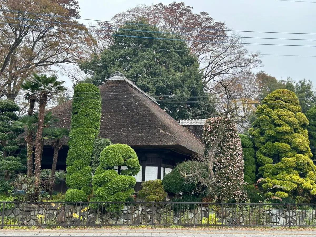 61【日本2024 Day 16：11月27日(水）日下田藍染工房＠益子町】 ｜堀井紀子