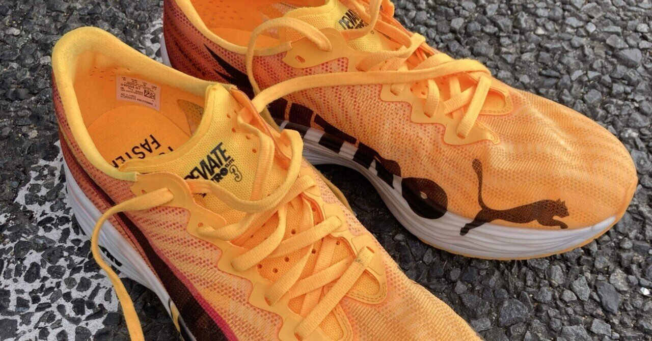 PUMA Deviate nitro elite 3 100kmレビュー｜mat