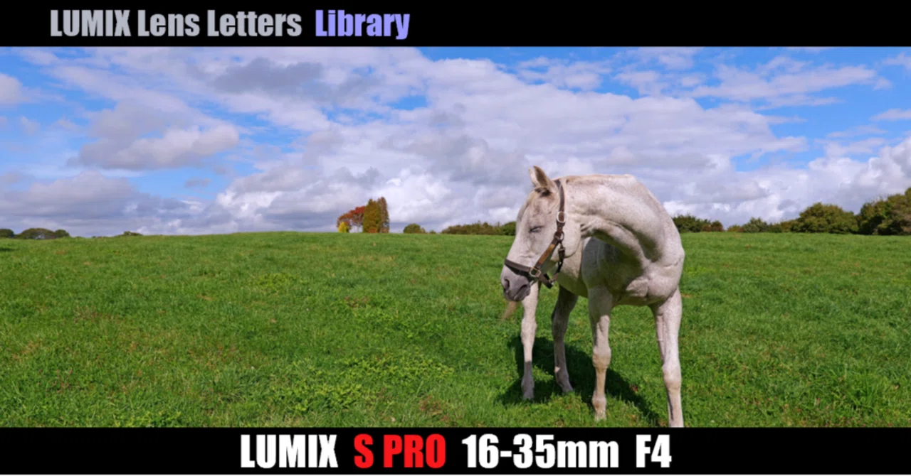 LUMIX S PRO 16-35mm F4 【Library】｜LUMIX Lens Letters