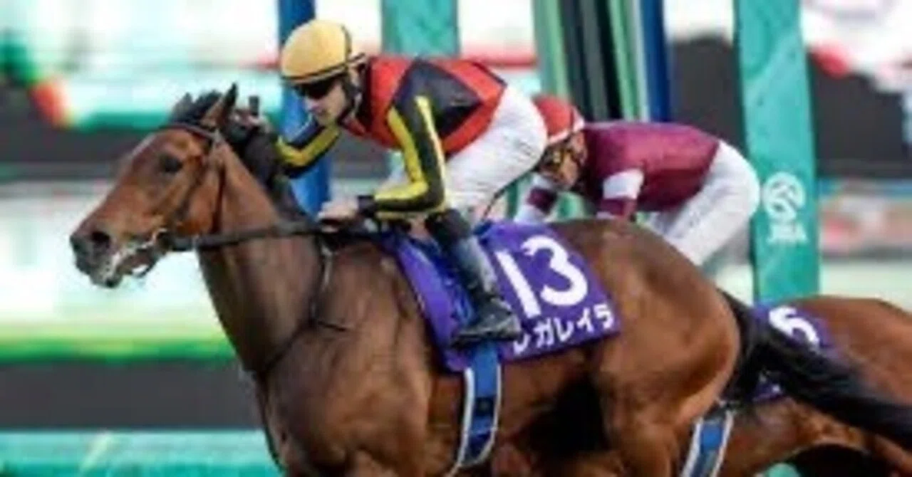 Running Lookism The 1st Ijo-Doku Derby 🏇|りゅすく