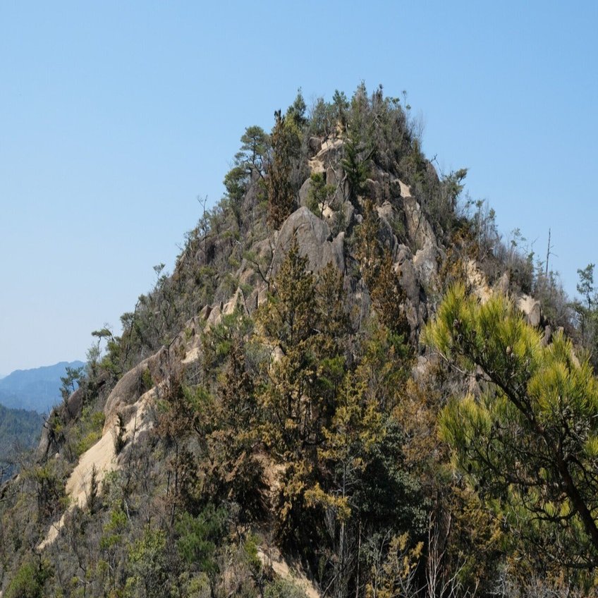 山山 太神山」(600m) ～湖南アルプスの主峰～ ［関西百名山］｜Kagirohi