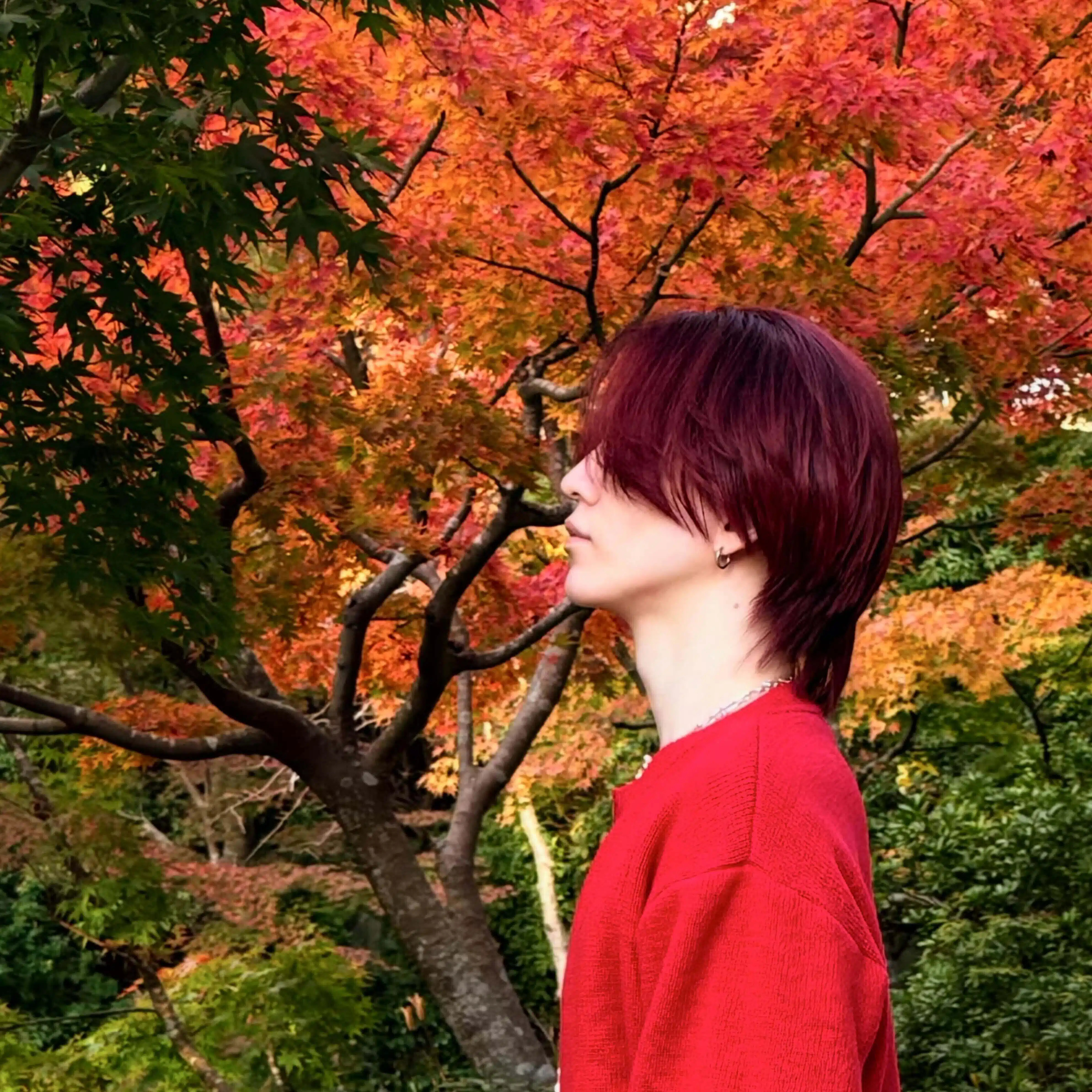 Shohei｜MOSS 恵比寿＆赤坂