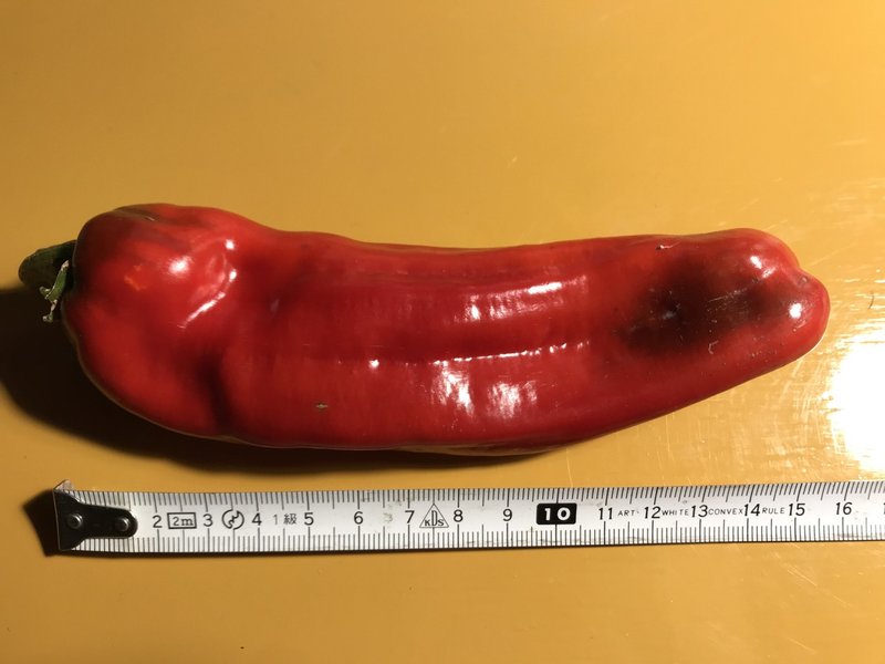 18年 自家採種系のジャンボピーマンの栽培記録まとめ 黒大根くん2 0 Note