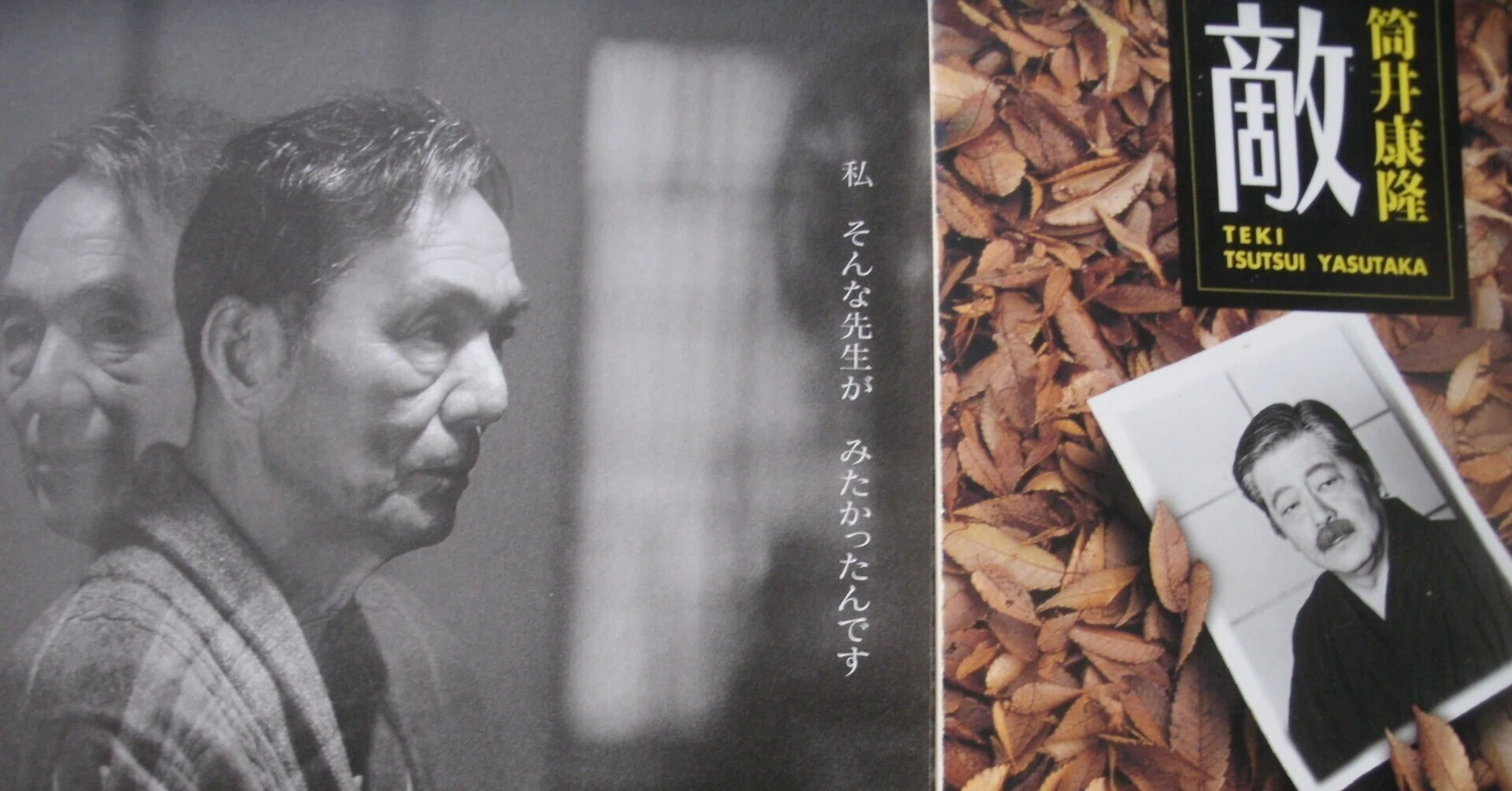 筒井康隆『敵』の正体について｜些流透