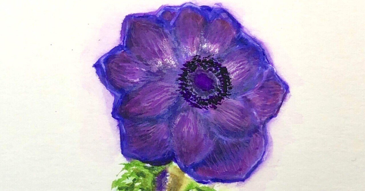 ン 大人気 新品 ノ アネモネは風という名の花｜紫風晄禎/Shifū Akisada 絵画