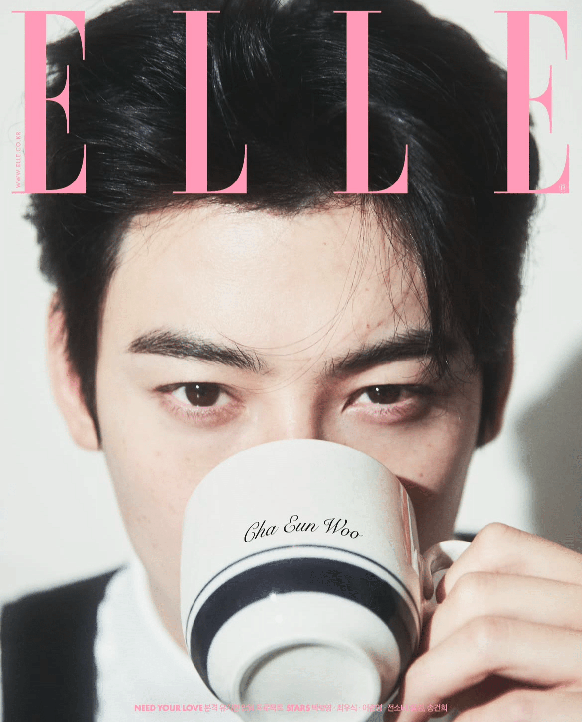 激レア ELLE KOREA チャウヌモデル出演 激レアチャウヌモデル出演ELLE KOREA