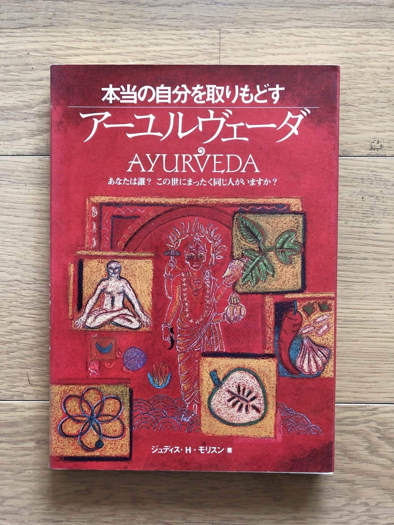 アーユルヴェーダ 本当の自分を取りもどす｜銀漢堂書林