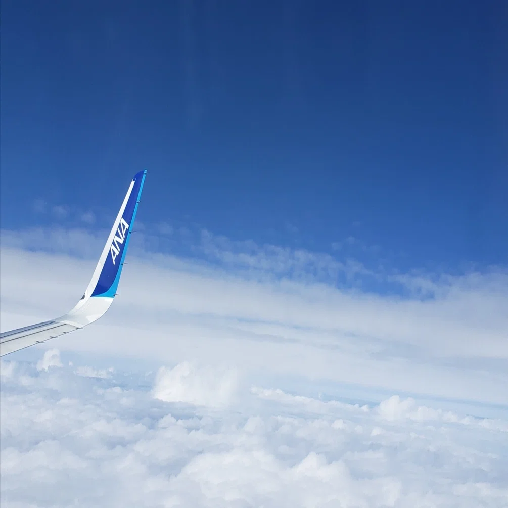 空飛ぶ 飛行機の質問に答えます。｜Hikarun2026✈IQ164の天才数学者🌸🌸