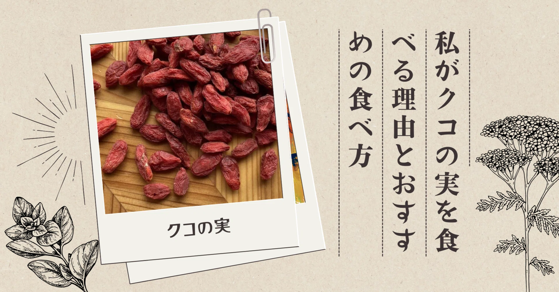 クコ の 実 効能