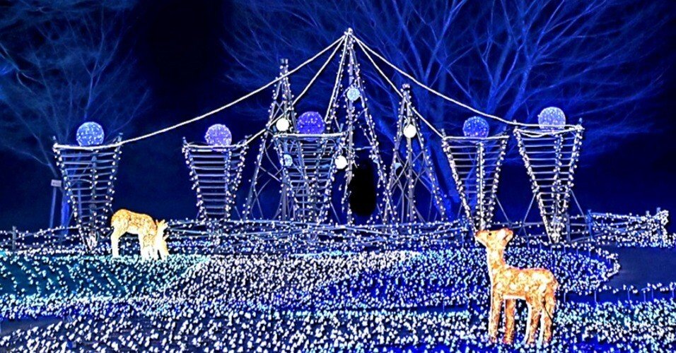 0be8e4982b3c0bdcabbd7e29c0c092