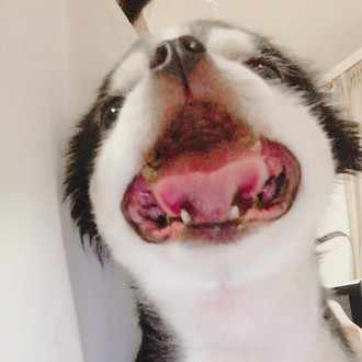 富士通をやめてweb系の企業に転職した話 R Wadada Note