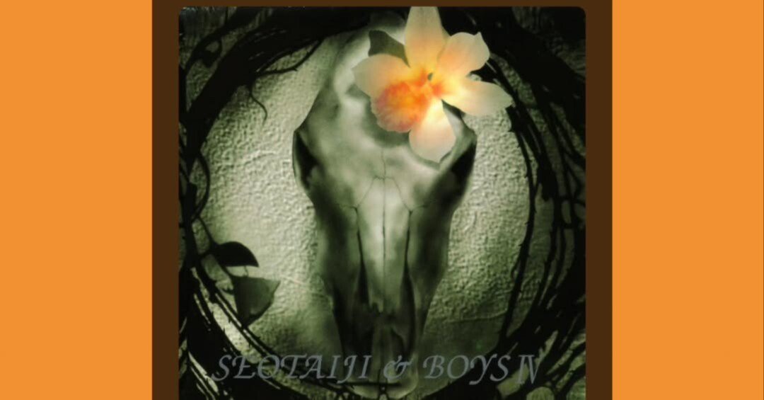 韓国盤 ソテジワアイドゥル Seotaiji & Boys 時代遺憾 Seo Taiji and Boys (album) - Wikipedia