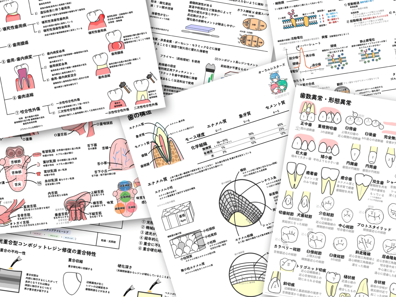 📎まとめ【小窩裂溝塡塞法】PDF📄 歯科衛生士国家試験｜オーラル
