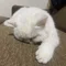 うに丸｜旅とお土産とあれこれ