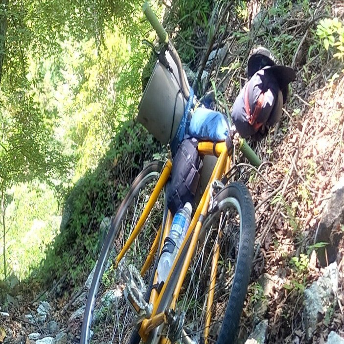 シングルスピードツーリング車FUJI feather-15kの翼｜daigomantour