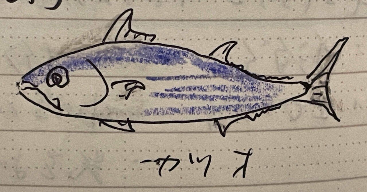 魚の骨格標本 その48 カライワシ｜いぞらど