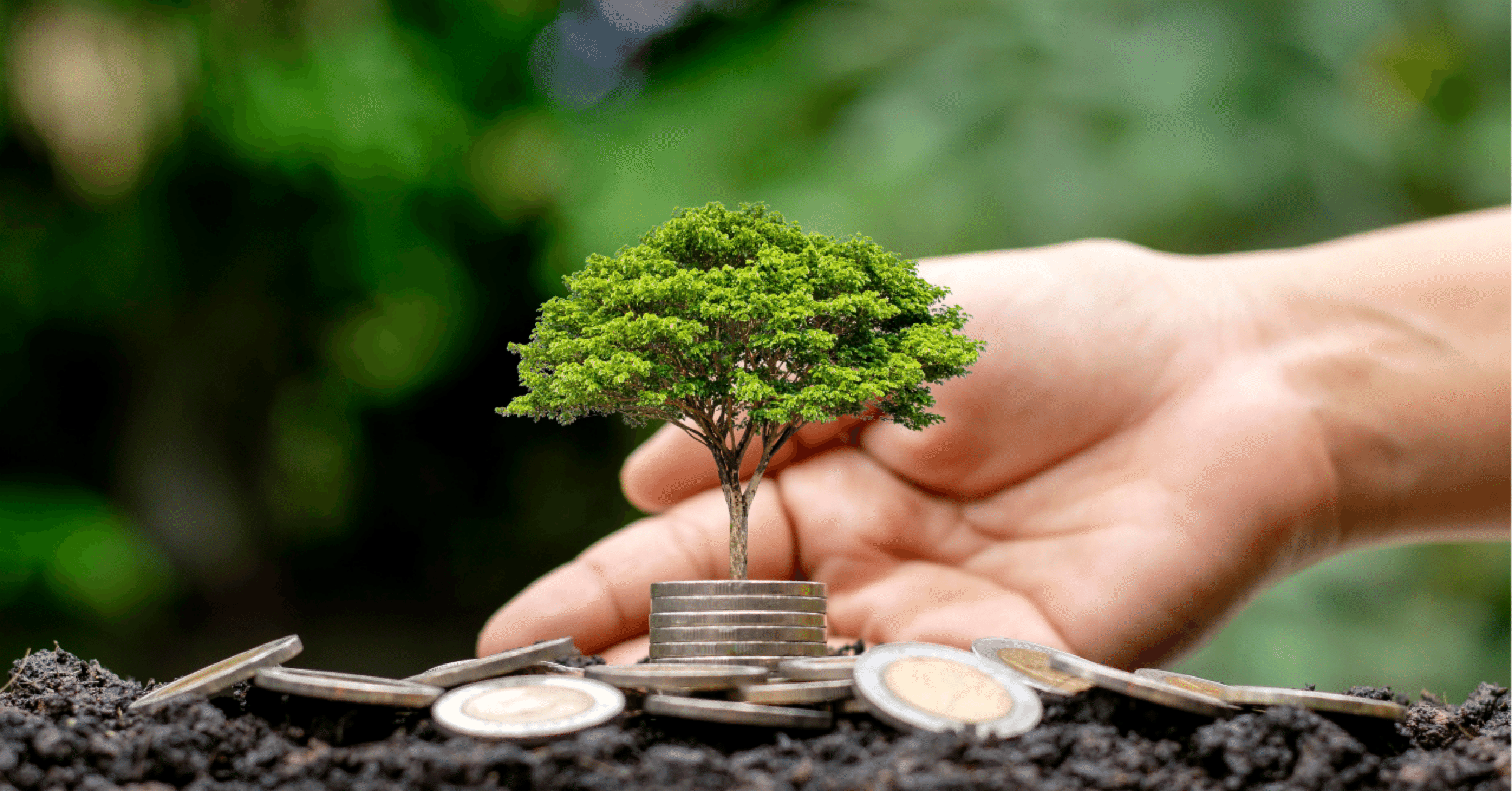 新婚旅行、結局いくらかかったのか大公開SP〜バリ島の場合〜｜麺