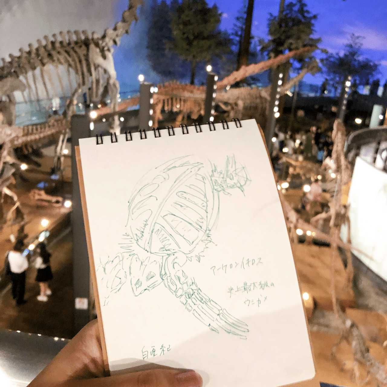 恐竜大好き！ゆんゆんの恐竜スケッチ｜Yuki Shibutani/Yun🦋