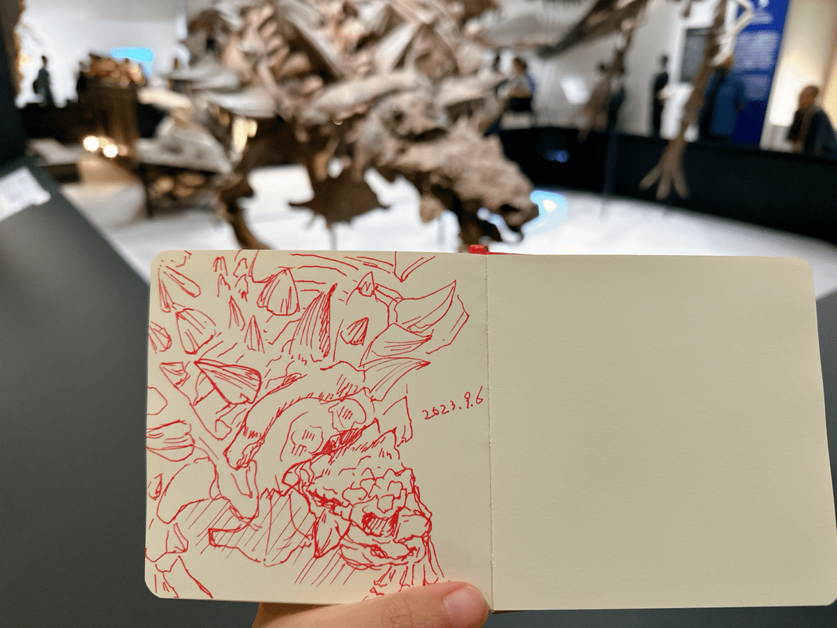 恐竜大好き！ゆんゆんの恐竜スケッチ｜Yuki Shibutani/Yun🦋