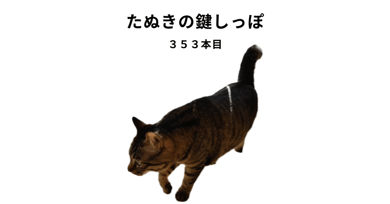 たぬきの鍵しっぽ ３５３本目｜あずきいろの肉球