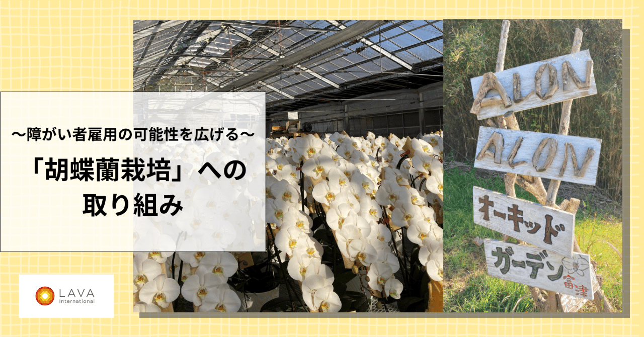 障がい者雇用の可能性を広げる～「胡蝶蘭栽培」への取り組み｜株式会社LAVA International