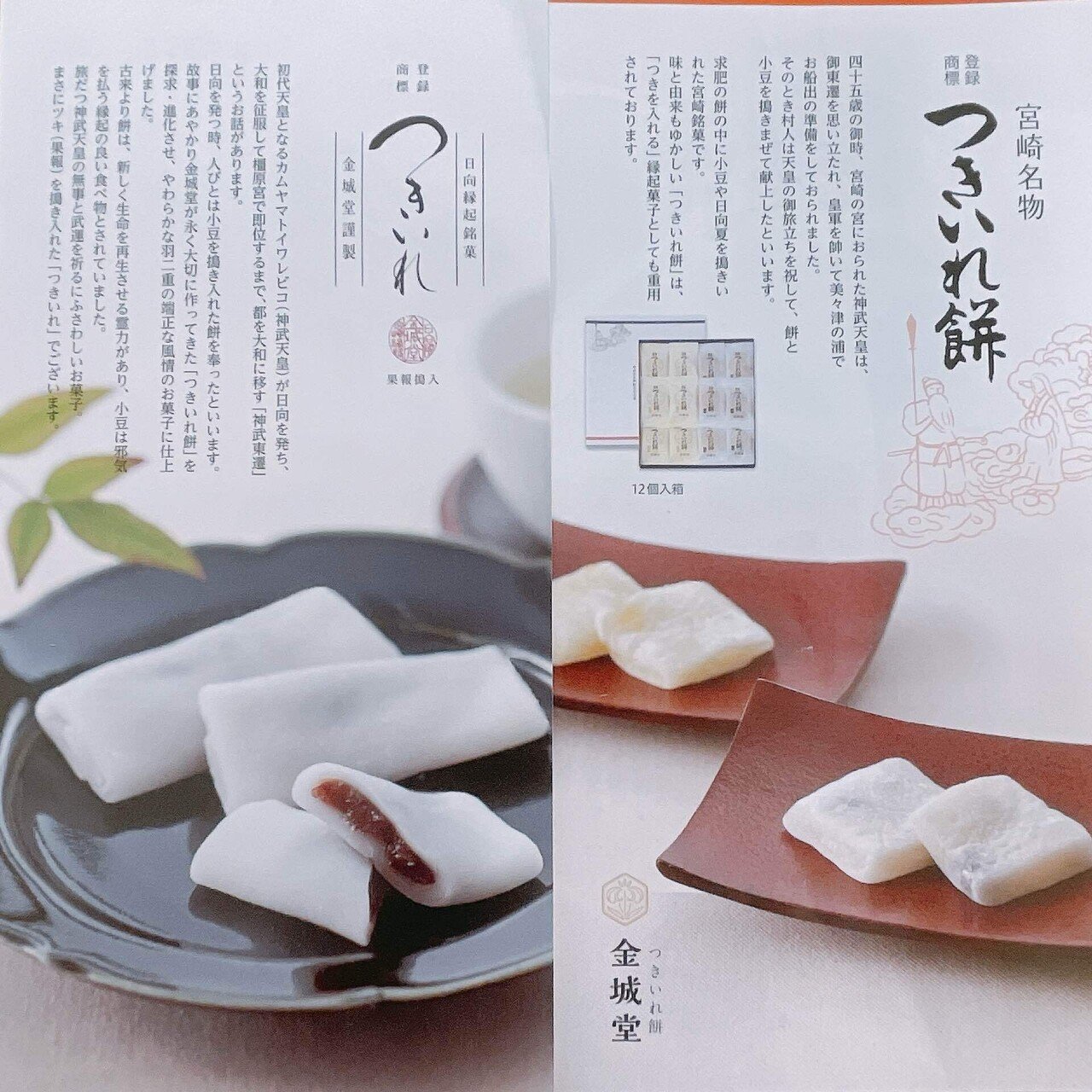 裏切りの予感。｜佐京凛佳