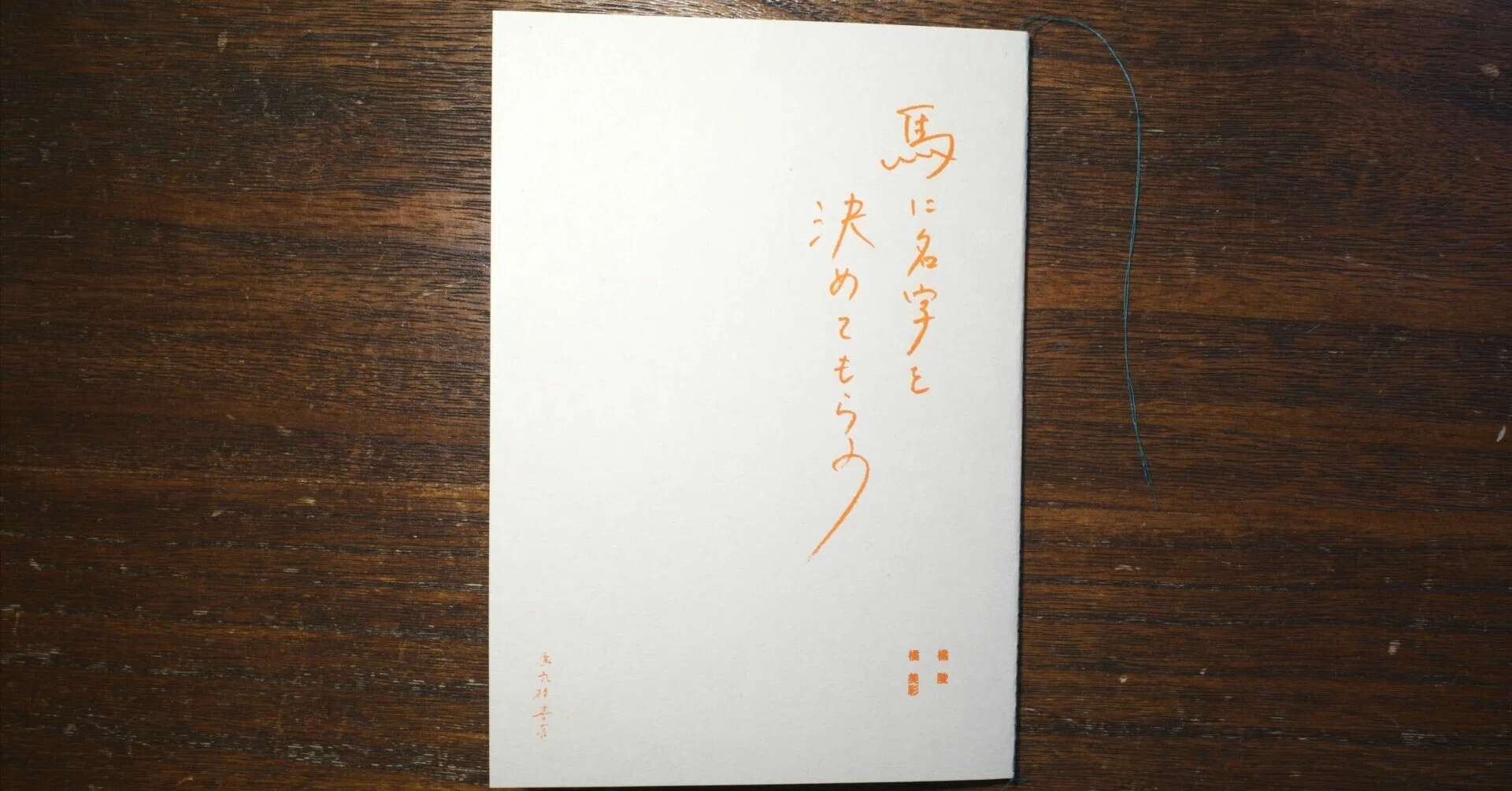 ZINE】『馬に名字を決めてもらう』｜蜃気楼書店