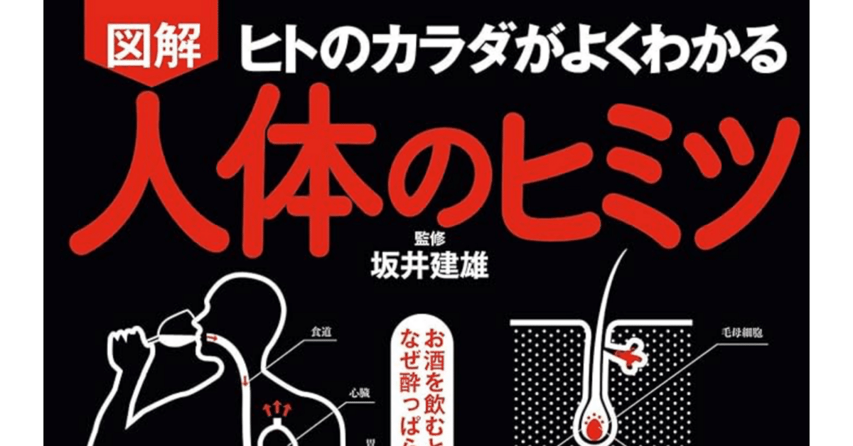 カラダについて知ってみようと思いまして/図解人体のヒミツ/(23/365)｜じゅんぱち