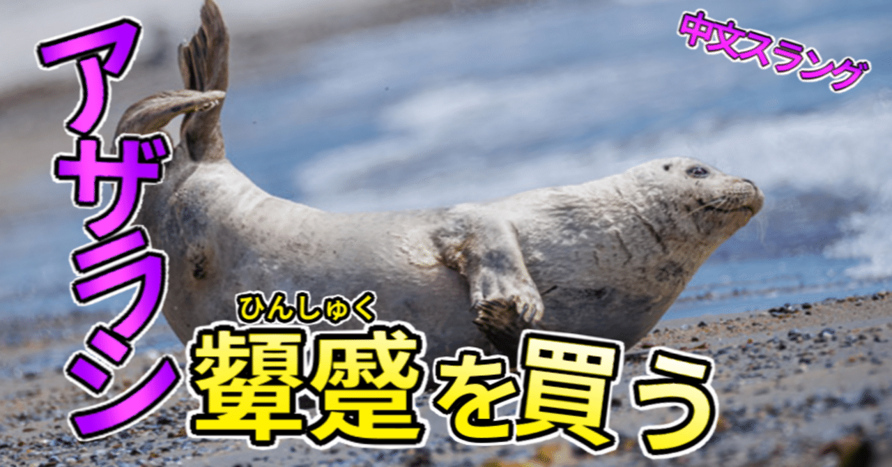 中国語スラング｢海豹｣について｜ひき海豹🦭