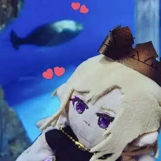 ひき海豹🦭
