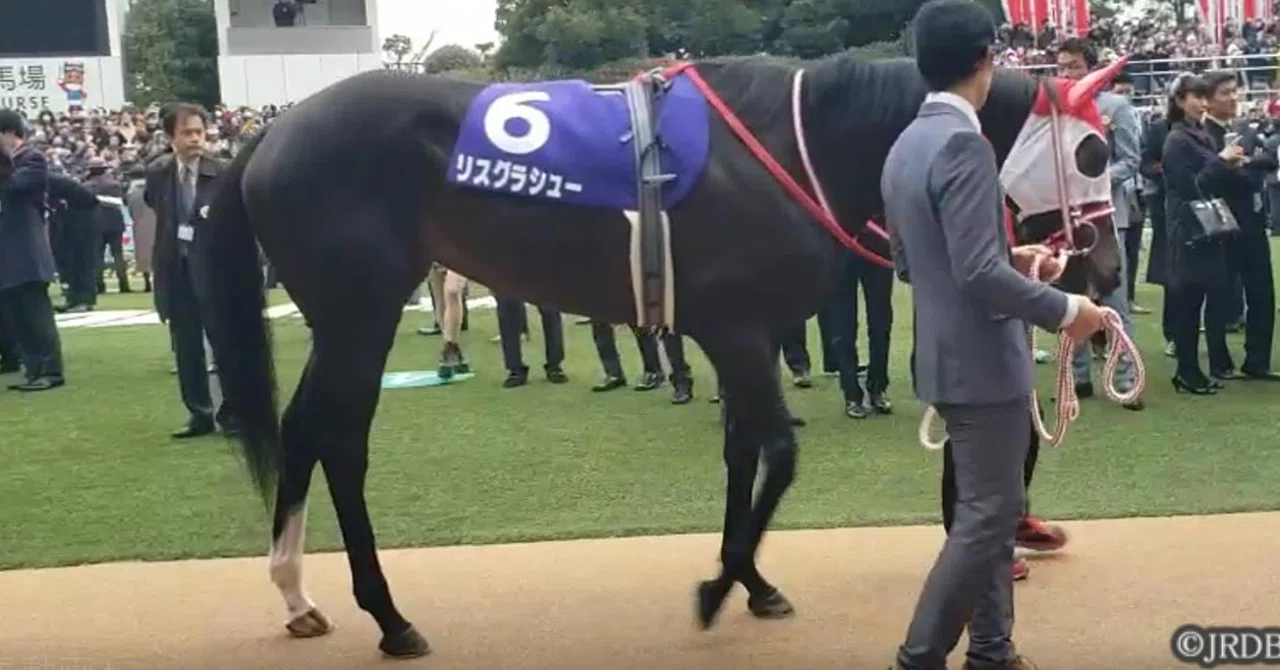 有馬記念優勝馬 リスグラシュー｜JRDB 競馬アラカルト