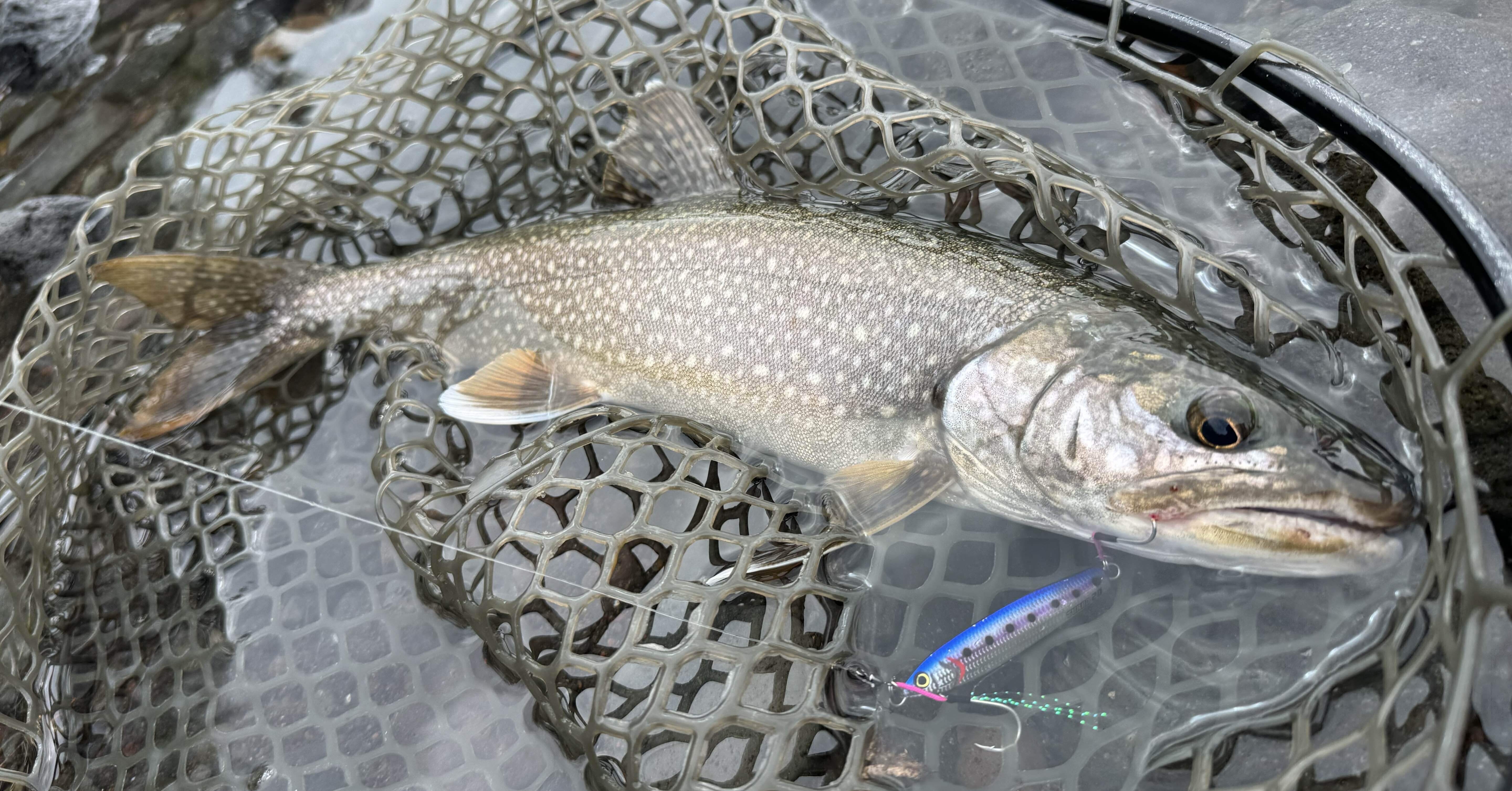 44f06fda31c0e202576499ab9104a5